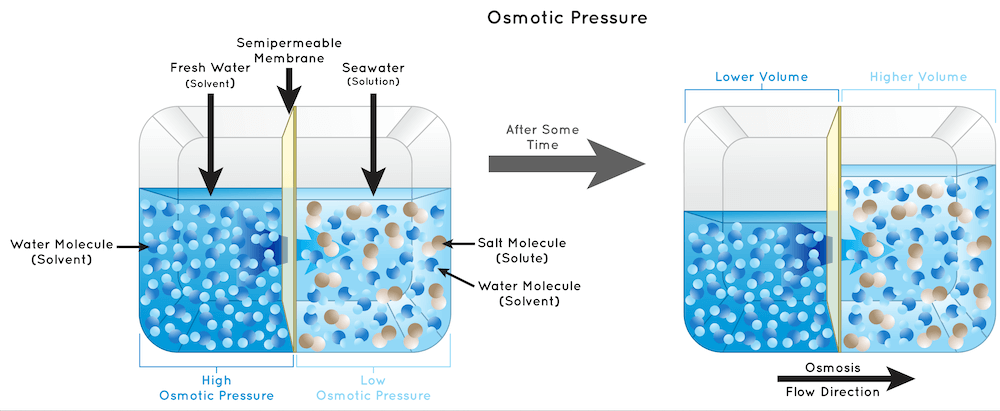 Principe de l'énergie osmotique