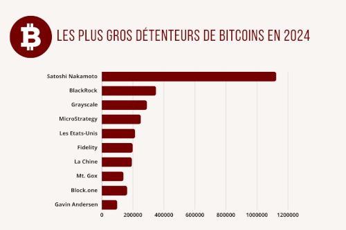 Qui possède le plus de Bitcoins ? Le top 10 des plus gros détenteurs en 2024