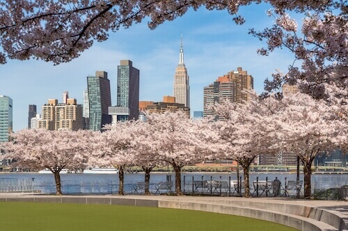 Redécouvrez New York au Printemps : nature en fleurs et vibrations culturelles